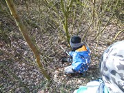 Ukliďme Česko - ukliďme cestu do lesa